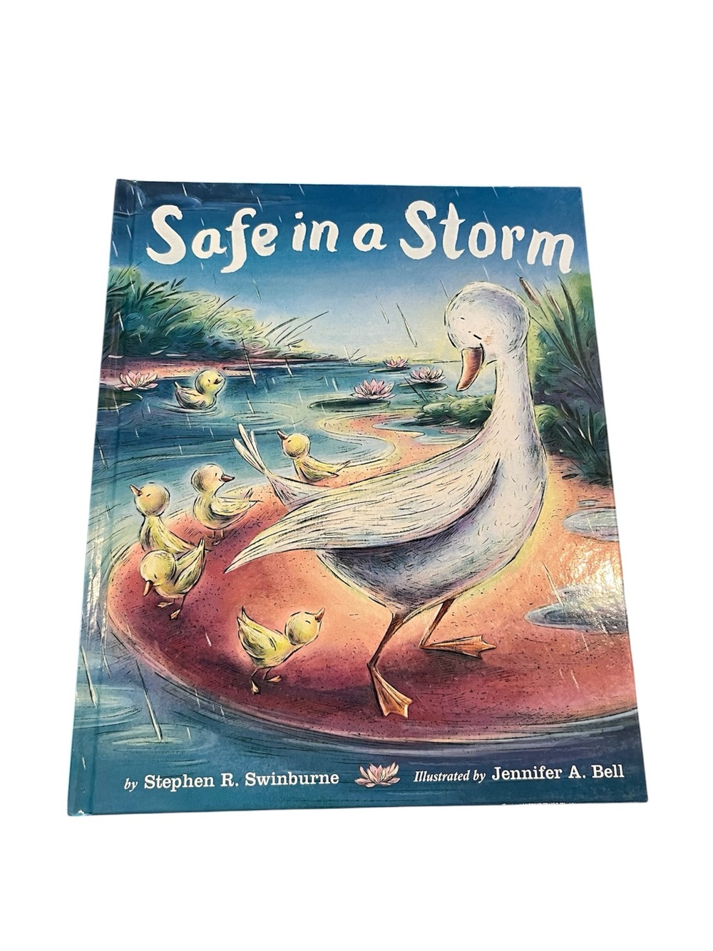 Safe in a Storm Illustrated Children's Book